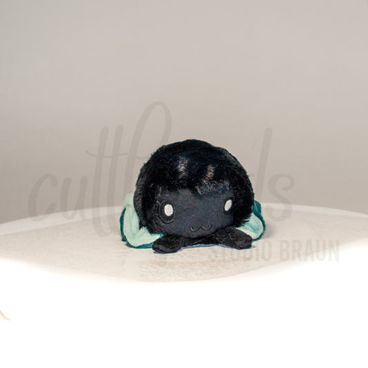 Sootsprout Silky Cuttlepod