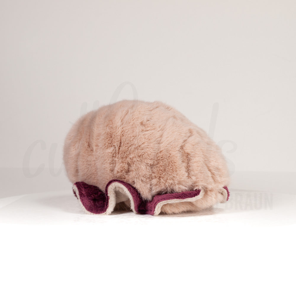 Slightly angled back view of a cuttlepod plush toy, highlighting two-tone ruffled fins, and a cuddly, furry body that comes to a soft point at the rear.