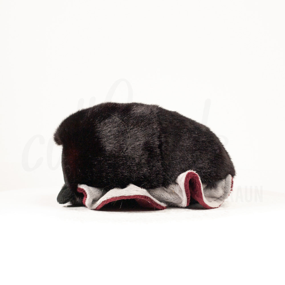 Side profile view of a cuttlepod plush toy, showcasing two-tone ruffled fins, and a cuddly, furry body.