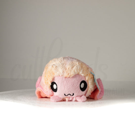 Front view of a cuttlepod plush toy, showcasing its unique form with large, cartoonish eyes, ruffled fins, and a cuddly, furry texture.