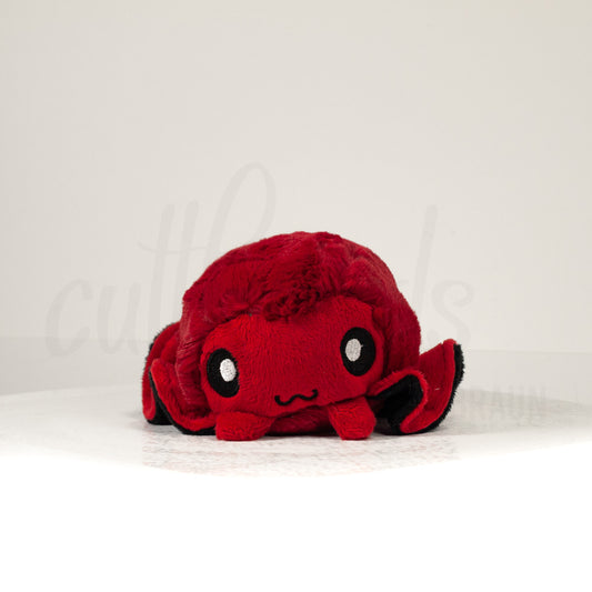 Front view of a cuttlepod plush toy, showcasing its unique form with large, cartoonish eyes, ruffled fins, and a cuddly, furry texture.