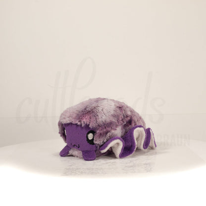 Front view of a cuttlepod plush toy, captured at a slight angle to highlight its charming features: large, cartoonish eyes, ruffled fins, and a cuddly, furry texture.