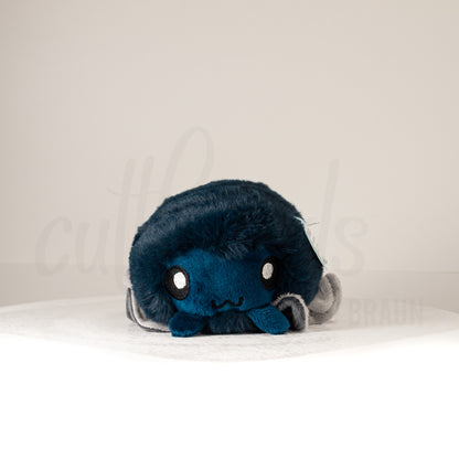 Front view of a cuttlepod plush toy, showcasing its unique form with large, cartoonish eyes, ruffled fins, and a cuddly, furry texture.