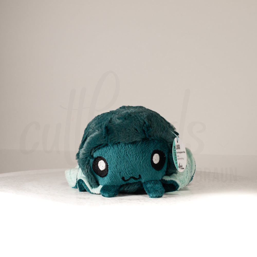 Front view of a cuttlepod plush toy, showcasing its unique form with large, cartoonish eyes, ruffled fins, and a cuddly, furry texture.