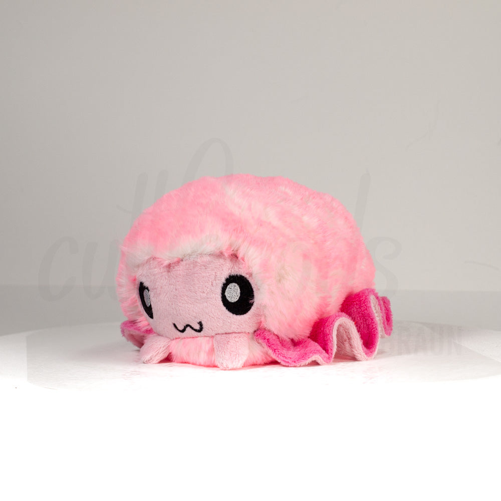 Front view of a cuttlepod plush toy, captured at a slight angle to highlight its charming features: large, cartoonish eyes, ruffled fins, and a cuddly, furry texture.