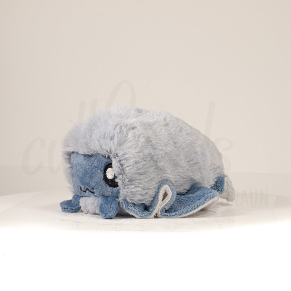 Front view of a cuttlepod plush toy, captured at a slight angle to highlight its charming features: large, cartoonish eyes, ruffled fins, and a cuddly, furry texture.