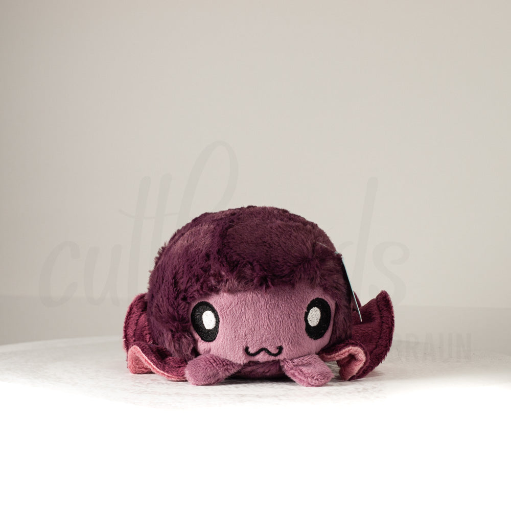 Front view of a cuttlepod plush toy, showcasing its unique form with large, cartoonish eyes, ruffled fins, and a cuddly, furry texture.