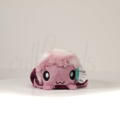 Front view of a cuttlepod plush toy, showcasing its unique form with large, cartoonish eyes, ruffled fins, and a cuddly, furry texture.