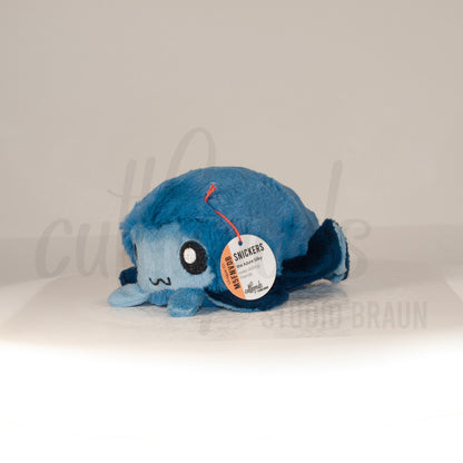 Front view of a cuttlepod plush toy, captured at a slight angle to highlight its charming features: large, cartoonish eyes, ruffled fins, and a cuddly, furry texture.