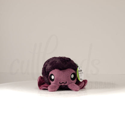 Front view of a cuttlepod plush toy, showcasing its unique form with large, cartoonish eyes, ruffled fins, and a cuddly, furry texture.