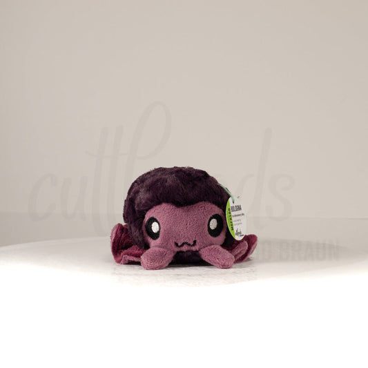 Front view of a cuttlepod plush toy, showcasing its unique form with large, cartoonish eyes, ruffled fins, and a cuddly, furry texture.