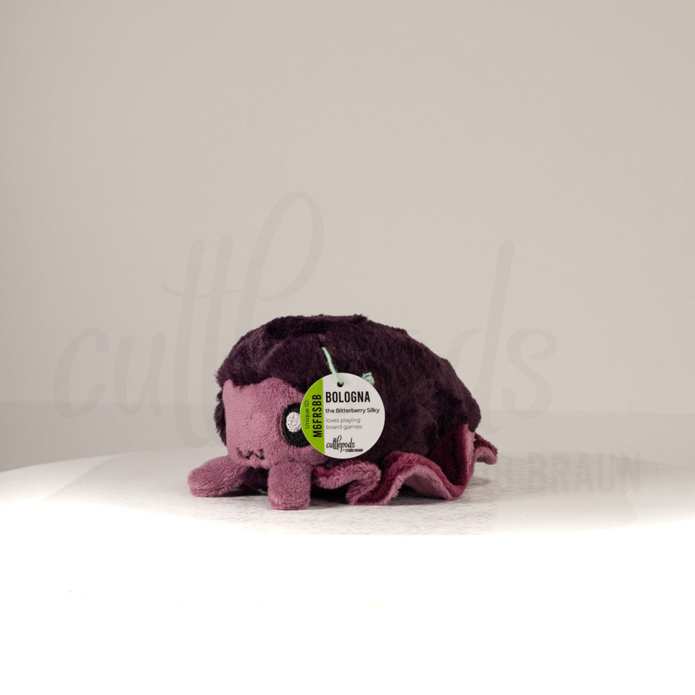 Front view of a cuttlepod plush toy, captured at a slight angle to highlight its charming features: large, cartoonish eyes, ruffled fins, and a cuddly, furry texture.