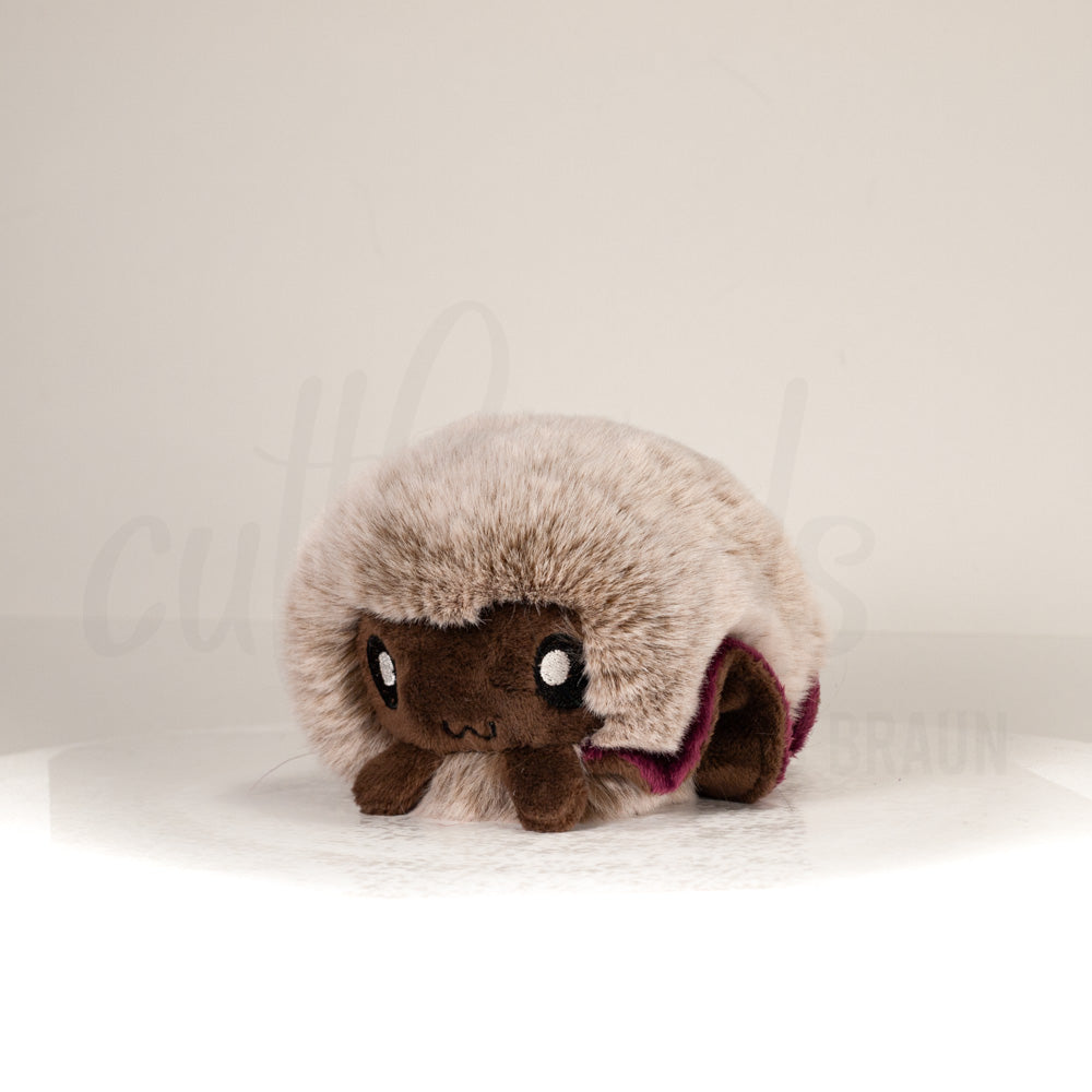 Front view of a cuttlepod plush toy, captured at a slight angle to highlight its charming features: large, cartoonish eyes, ruffled fins, and a cuddly, furry texture.