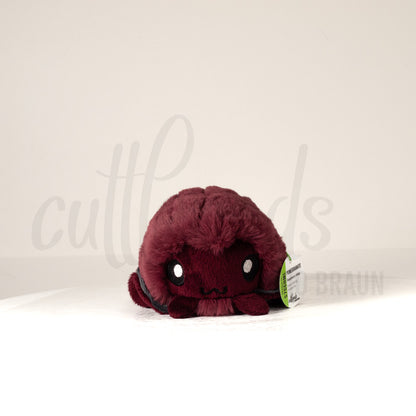 Front view of a cuttlepod plush toy, showcasing its unique form with large, cartoonish eyes, ruffled fins, and a cuddly, furry texture.