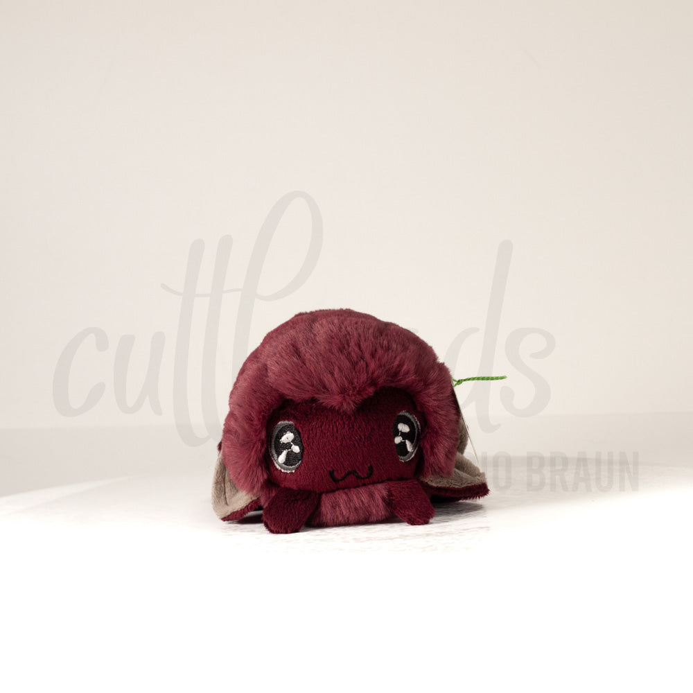 Front view of a cuttlepod plush toy, showcasing its unique form with large, cartoonish eyes, ruffled fins, and a cuddly, furry texture.