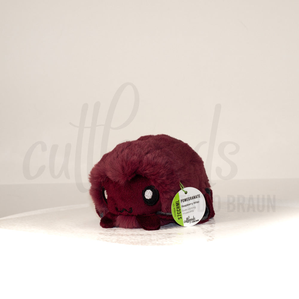 Front view of a cuttlepod plush toy, captured at a slight angle to highlight its charming features: large, cartoonish eyes, ruffled fins, and a cuddly, furry texture.