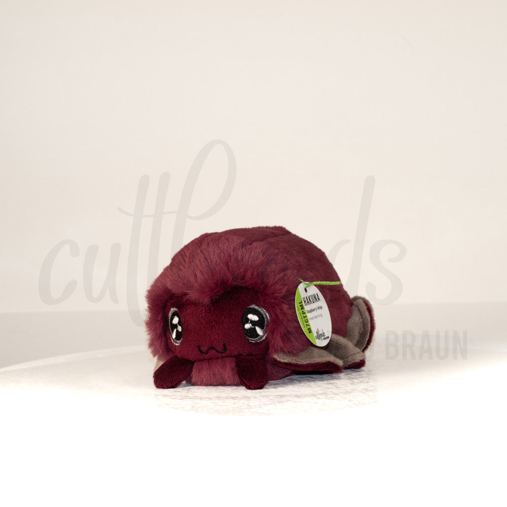 Front view of a cuttlepod plush toy, captured at a slight angle to highlight its charming features: large, cartoonish eyes, ruffled fins, and a cuddly, furry texture.