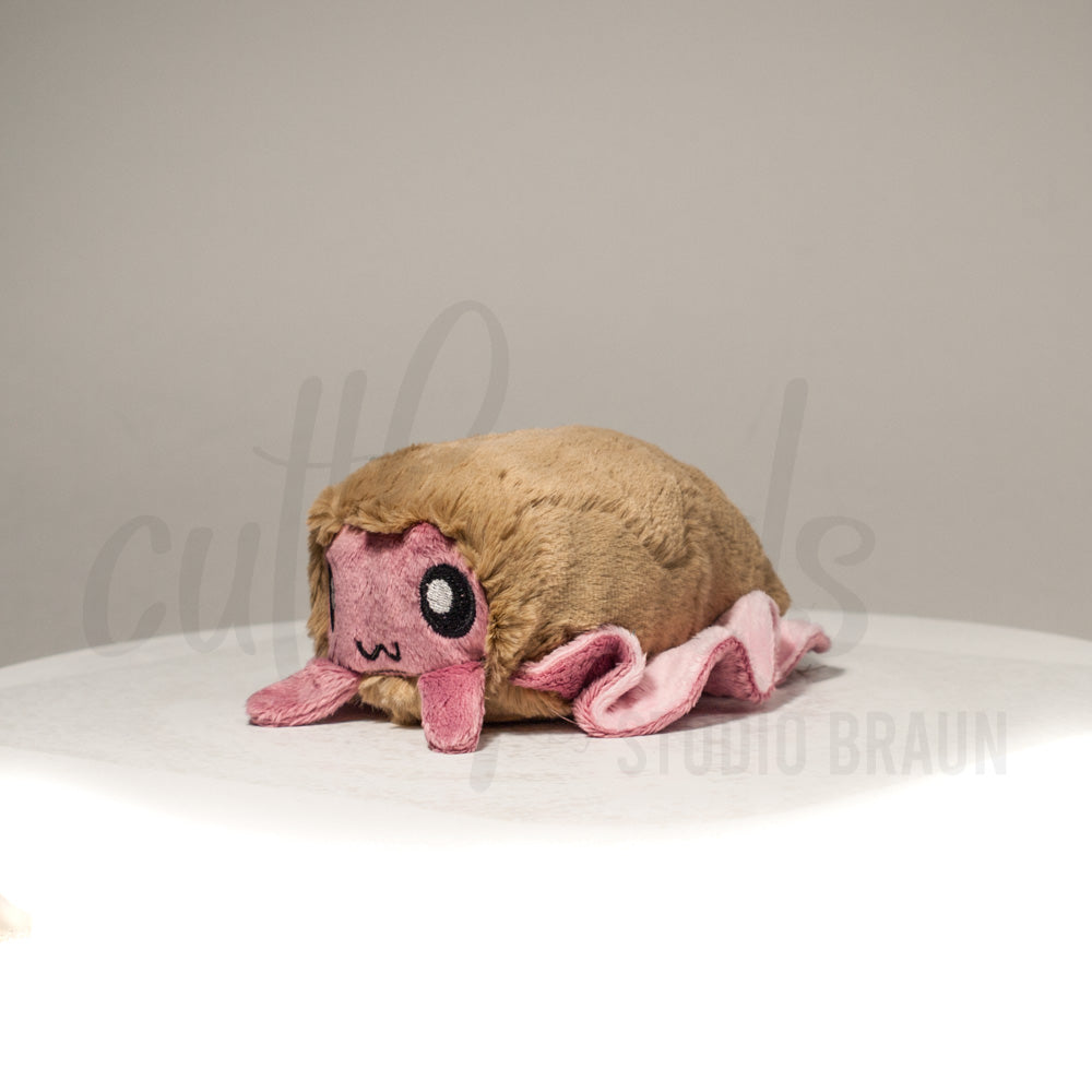 Front view of a cuttlepod plush toy, captured at a slight angle to highlight its charming features: large, cartoonish eyes, ruffled fins, and a cuddly, furry texture.