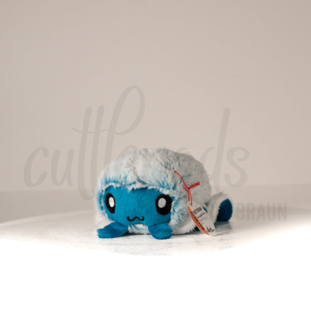 Front view of a cuttlepod plush toy, captured at a slight angle to highlight its charming features: large, cartoonish eyes, ruffled fins, and a cuddly, furry texture.