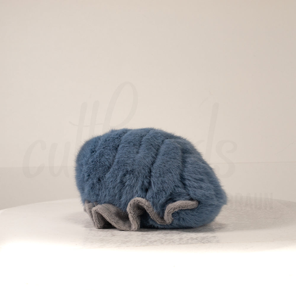 Slightly angled back view of a cuttlepod plush toy, highlighting two-tone ruffled fins, and a cuddly, furry body that comes to a soft point at the rear.