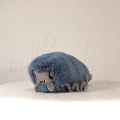 Front view of a cuttlepod plush toy, captured at a slight angle to highlight its charming features: large, cartoonish eyes, ruffled fins, and a cuddly, furry texture.