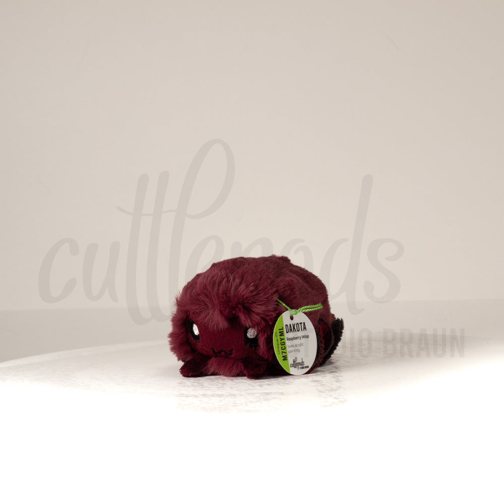 Front view of a cuttlepod plush toy, captured at a slight angle to highlight its charming features: large, cartoonish eyes, ruffled fins, and a cuddly, furry texture.