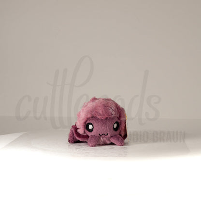 Front view of a cuttlepod plush toy, showcasing its unique form with large, cartoonish eyes, ruffled fins, and a cuddly, furry texture.