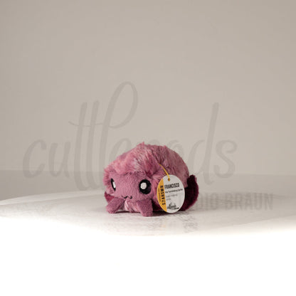 Front view of a cuttlepod plush toy, captured at a slight angle to highlight its charming features: large, cartoonish eyes, ruffled fins, and a cuddly, furry texture.