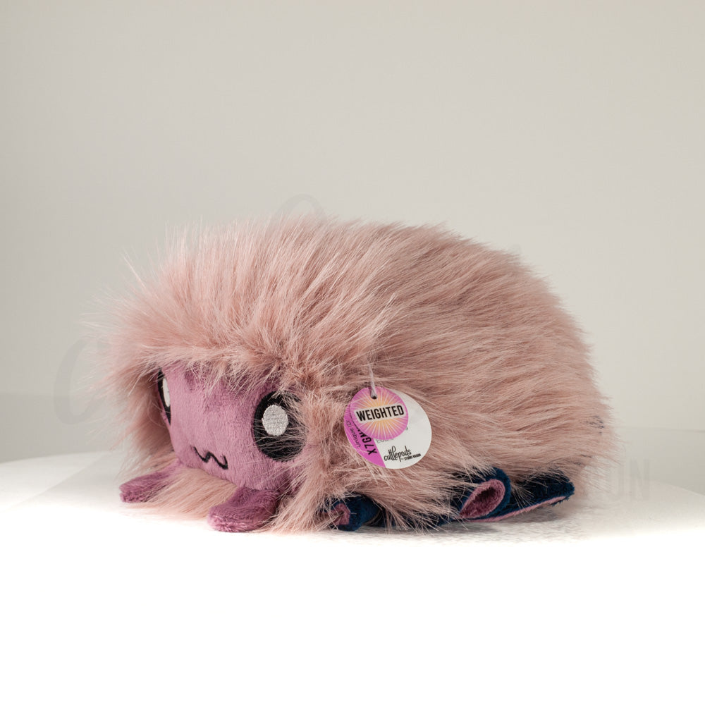 Front view of a cuttlepod plush toy, captured at a slight angle to highlight its charming features: large, cartoonish eyes, ruffled fins, and a cuddly, furry texture.