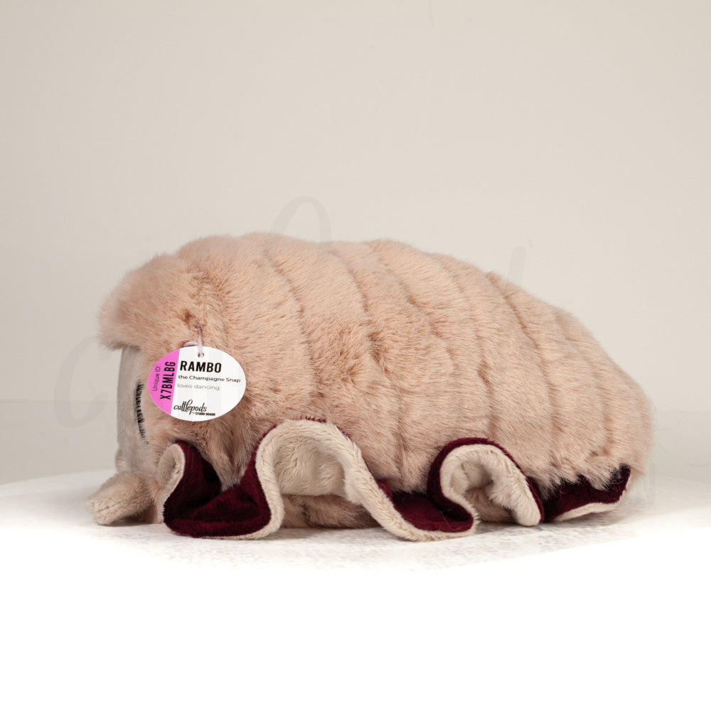 Side profile view of a cuttlepod plush toy, showcasing two-tone ruffled fins, and a cuddly, furry body.