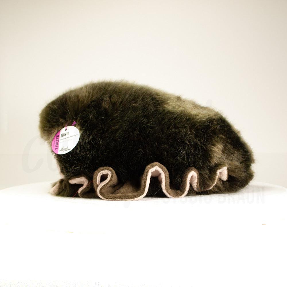 Shadowleaf Flare Cuttlepod - XL Weighted Handmade Plush