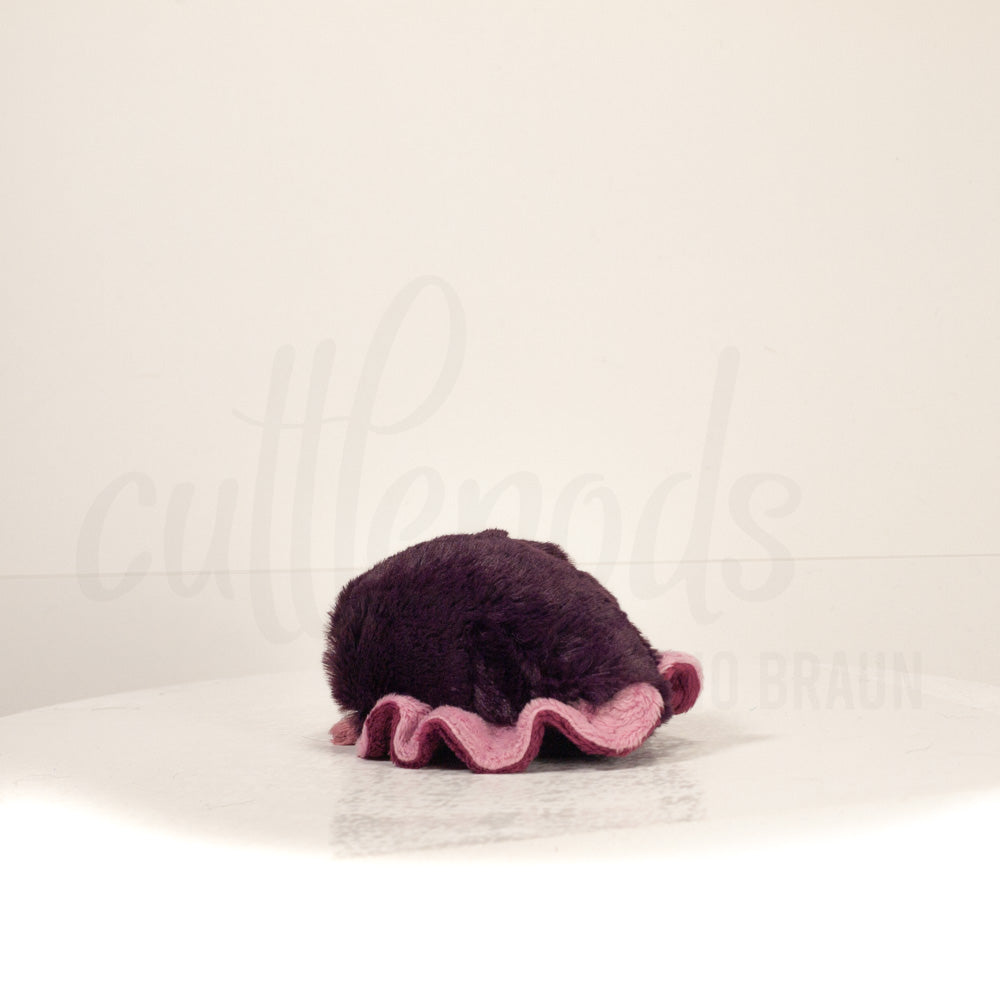 Slightly angled back view of a cuttlepod plush toy, highlighting two-tone ruffled fins, and a cuddly, furry body that comes to a soft point at the rear.