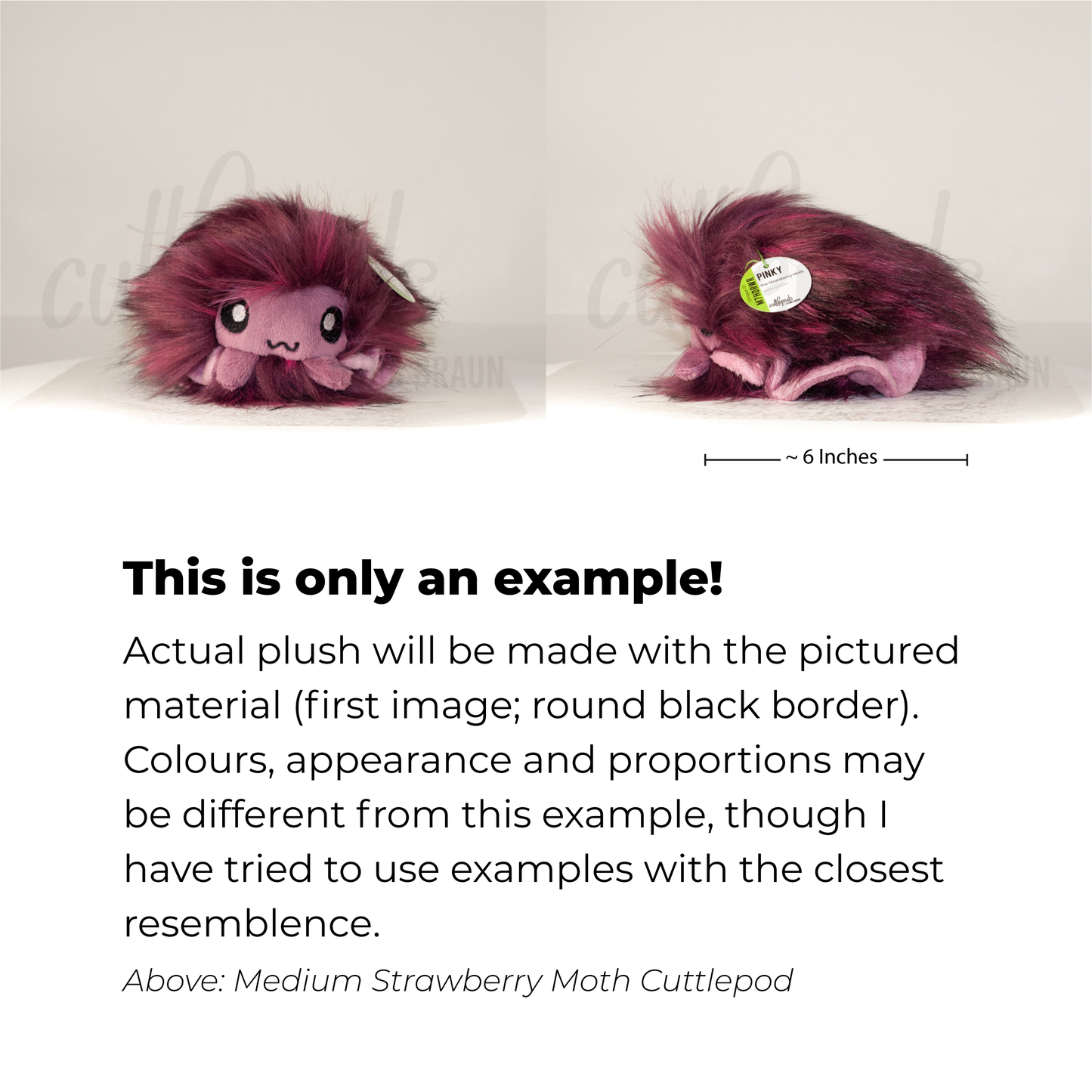 Obsidian Moth Cuttlepod - Medium (Palm-Size) Handmade Plush